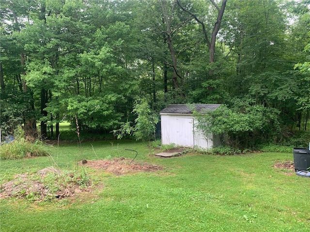 view of yard featuring a storage shed