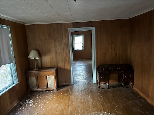 interior space with plenty of natural light, hardwood / wood-style floors, and wood walls