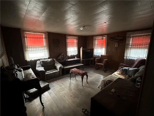 living room featuring hardwood / wood-style flooring and a wealth of natural light