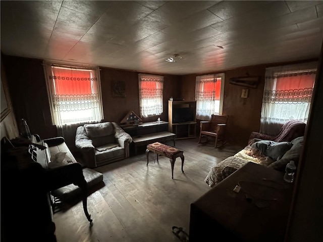 living area with wood-type flooring