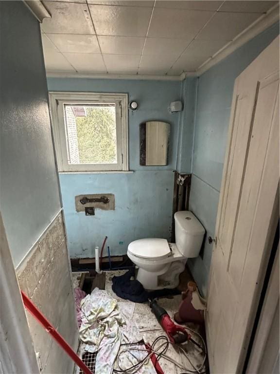 bathroom featuring toilet