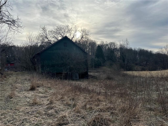 view of local wilderness