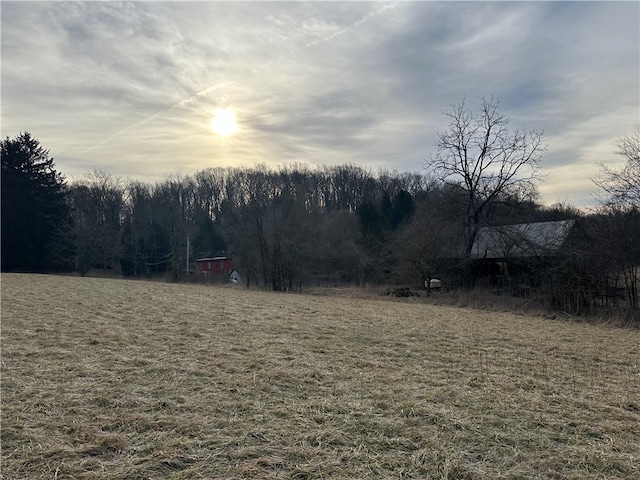 view of yard at dusk