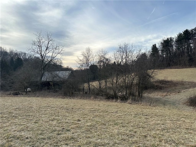 view of local wilderness featuring a rural view