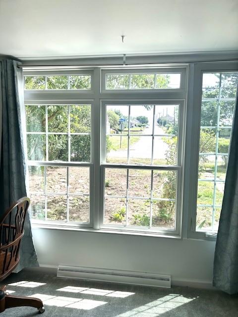 doorway to outside featuring a baseboard radiator and carpet flooring