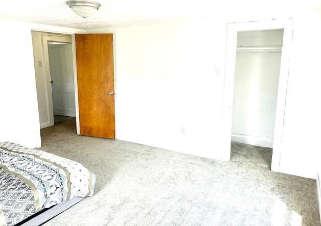 bedroom with carpet flooring and a closet