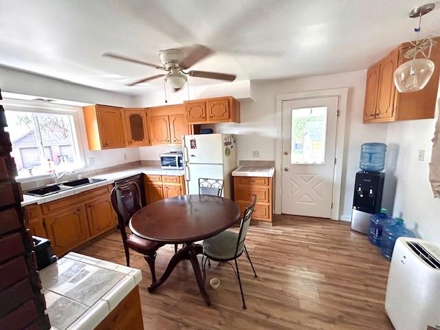 kitchen featuring white refrigerator, ceiling fan, sink, and hardwood / wood-style flooring