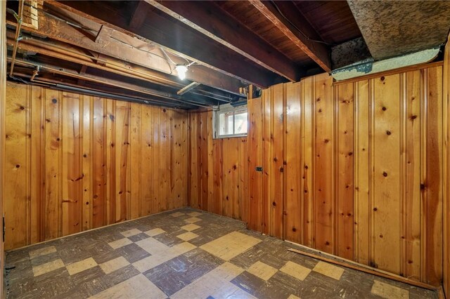 basement with wood walls