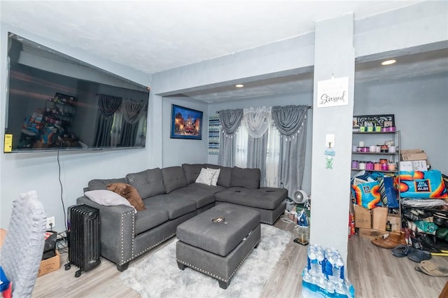 living room with hardwood / wood-style flooring