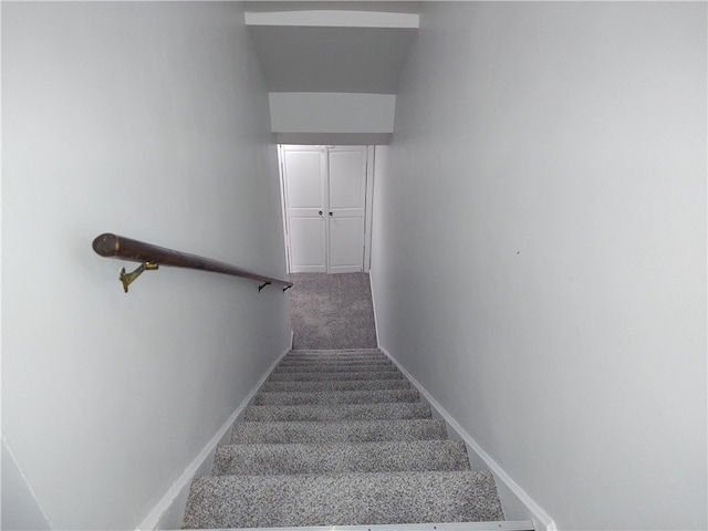 stairway featuring carpet floors