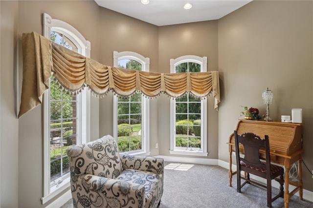 living area featuring carpet