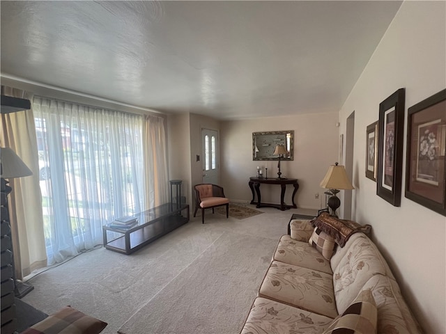 carpeted living room with a wealth of natural light