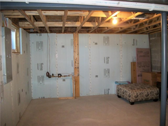 basement with electric panel