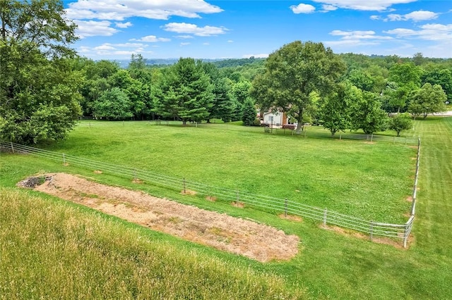 view of yard featuring a rural view