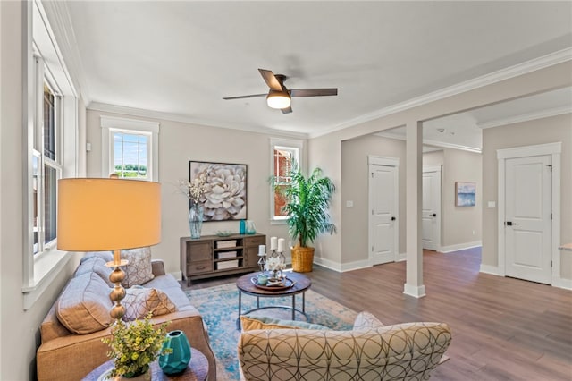 living room featuring ceiling fan, hardwood / wood-style floors, and ornamental molding