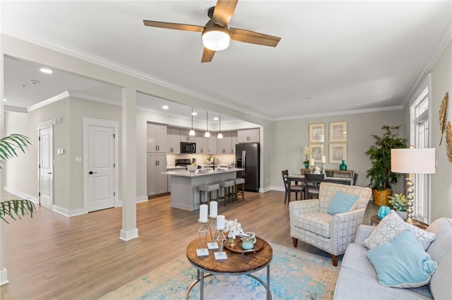 living room featuring sink, light hardwood / wood-style flooring, ceiling fan, and crown molding