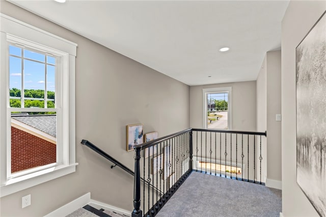 stairway featuring carpet flooring