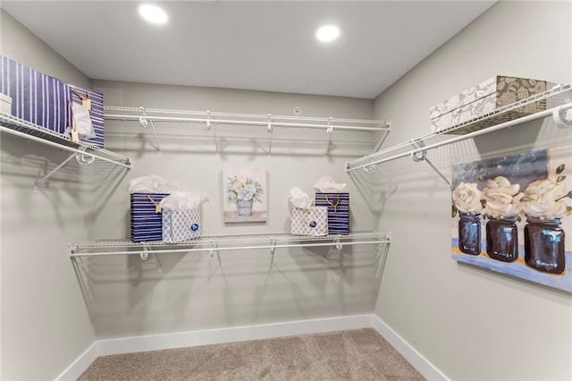 spacious closet featuring carpet floors