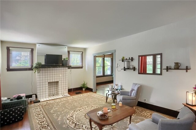 living room featuring hardwood / wood-style floors