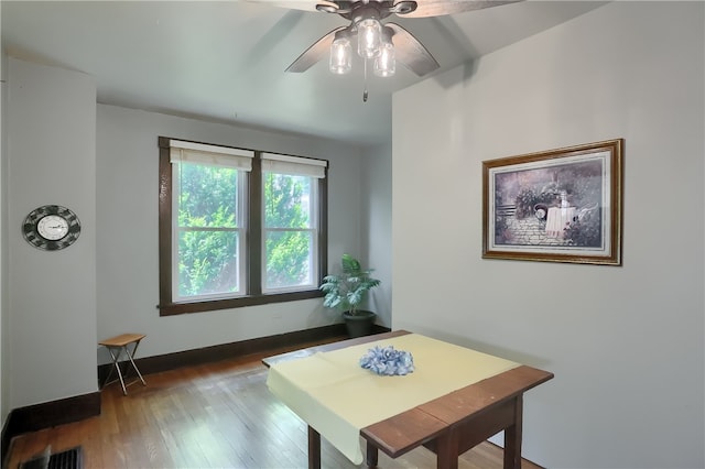 office area with ceiling fan and dark hardwood / wood-style flooring