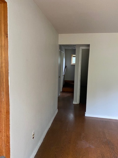 hall featuring dark hardwood / wood-style floors