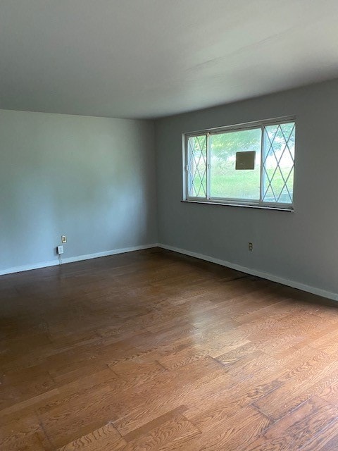 spare room with wood-type flooring