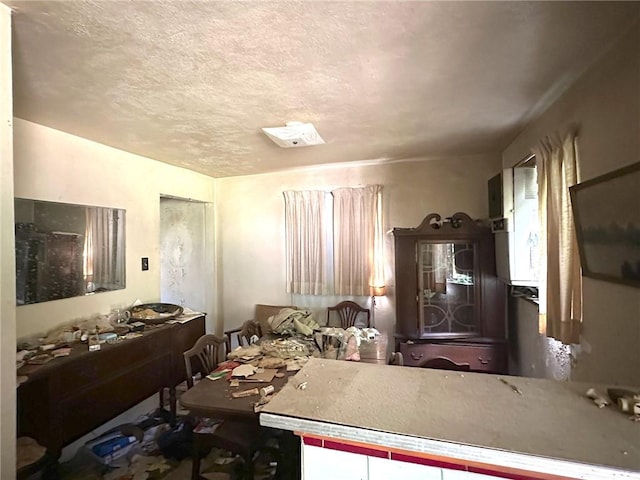 miscellaneous room featuring a textured ceiling