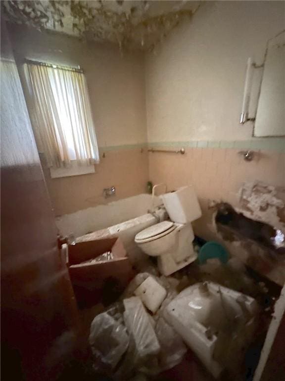 bathroom with toilet and a washtub