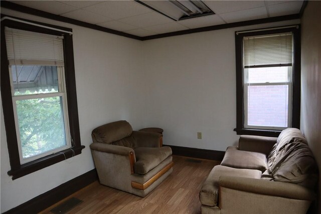 living room featuring wood-type flooring and a paneled ceiling