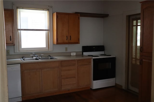 kitchen featuring dark hardwood / wood-style floors, white appliances, and sink