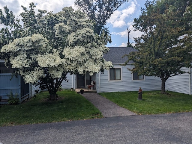 view of front of property with a front lawn