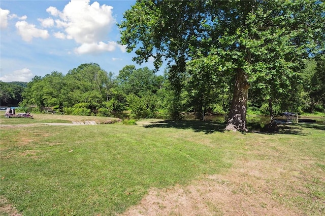 view of yard featuring a forest view