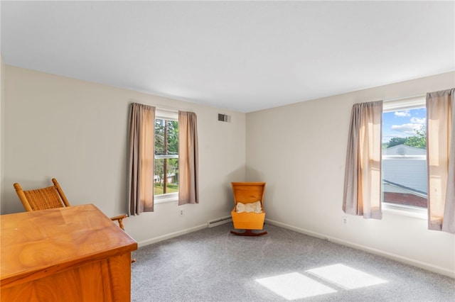 office space with carpet floors, a baseboard radiator, and a healthy amount of sunlight