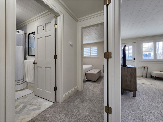 hallway with crown molding and carpet flooring