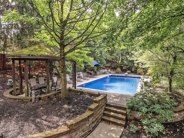 view of swimming pool with a patio area