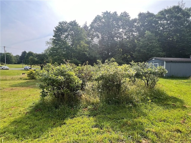 2612 Canoe Ridge Rd, Canoe/Banks Twps, PA 15772 - view of green lawn featuring an outbuilding and a pole building