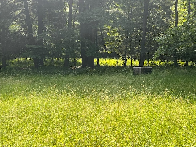 view of nature with a rural view