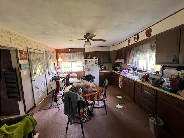 kitchen featuring plenty of natural light, white fridge, carpet floors, and ceiling fan