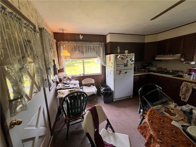 kitchen featuring carpet, pendant lighting, ventilation hood, dark brown cabinets, and white fridge