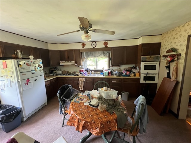 kitchen featuring light carpet, white appliances, dark brown cabinetry, ceiling fan, and sink