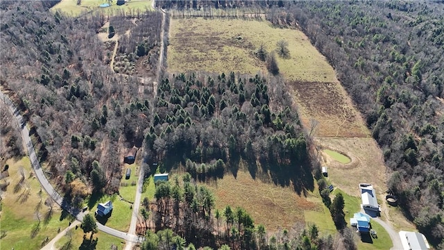 2612 Canoe Ridge Rd, Canoe/Banks Twps, PA 15772 - view of property location featuring a heavily wooded area and rural landscape
