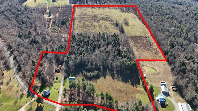 2612 Canoe Ridge Rd, Canoe/Banks Twps, PA 15772 - aerial overview of property's location with a forest and property boundaries highlighted
