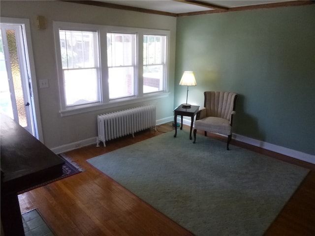 living area featuring radiator heating unit, a healthy amount of sunlight, crown molding, and dark hardwood / wood-style floors