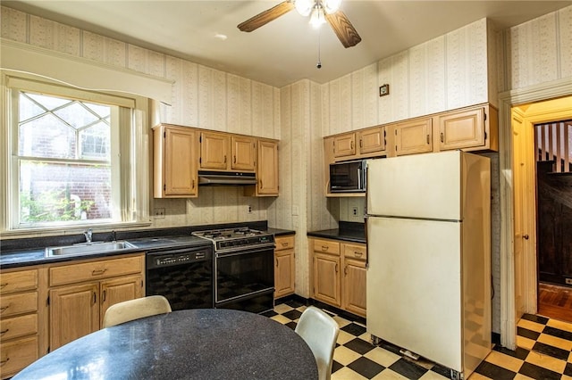 kitchen with black appliances, ceiling fan, and sink