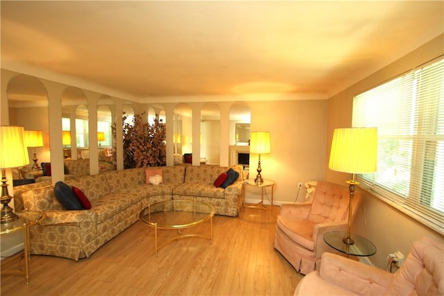 living room featuring light wood-type flooring and a wealth of natural light