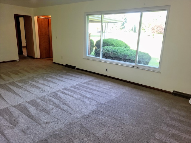 empty room with carpet floors and a healthy amount of sunlight