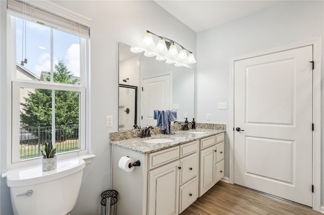 bathroom with dual vanity, toilet, and a healthy amount of sunlight