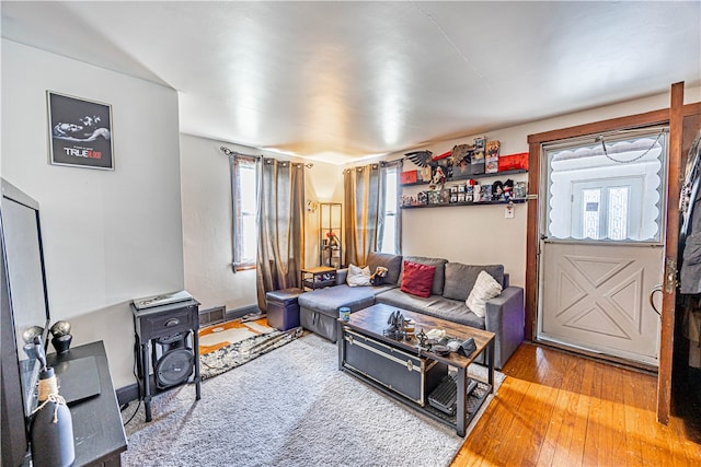 living room featuring hardwood / wood-style floors