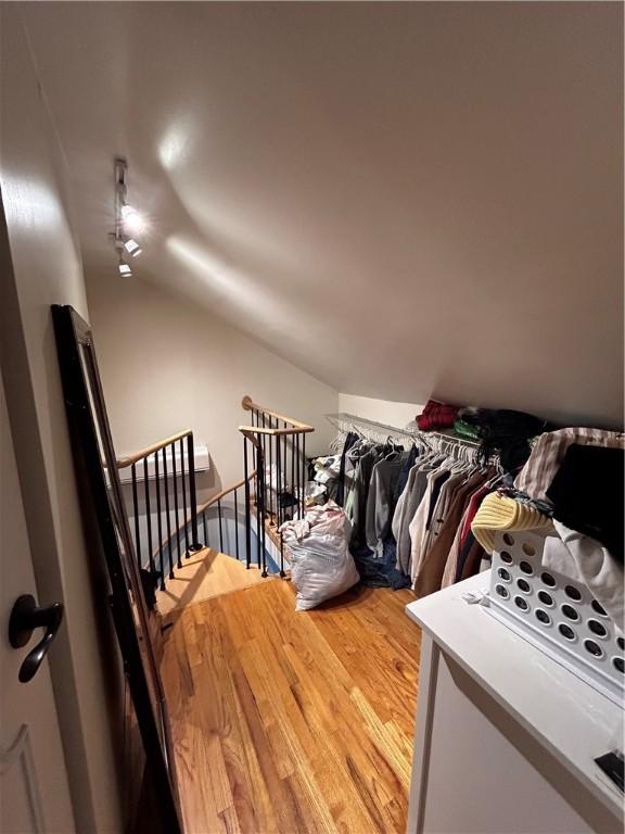 walk in closet with wood-type flooring