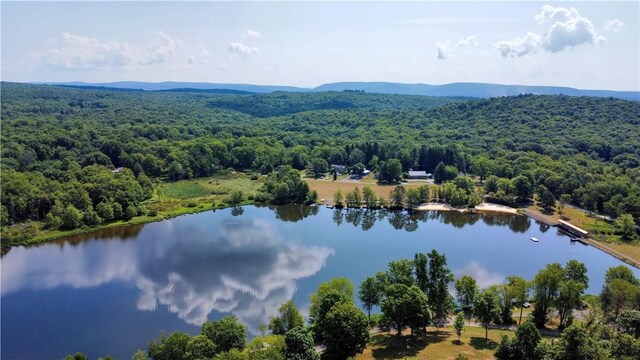 drone / aerial view featuring a water and mountain view